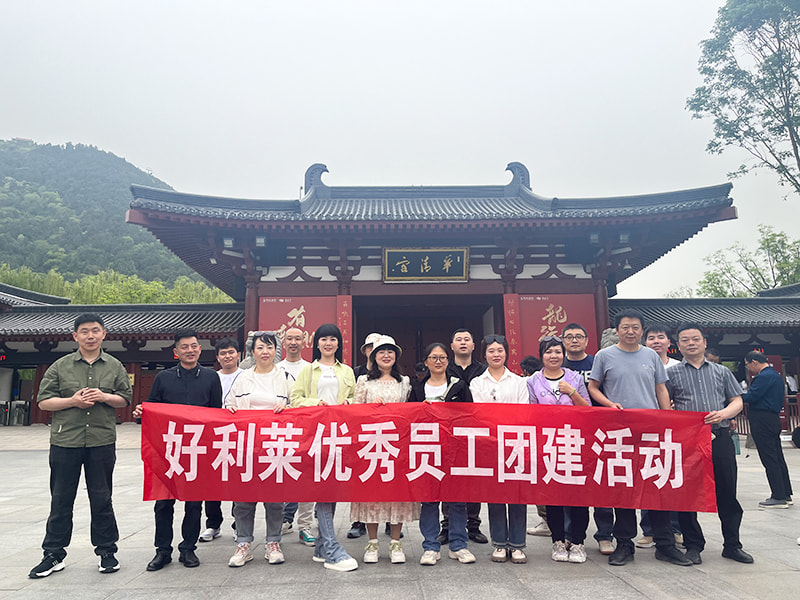 Changzhou Haolilai Foto-Electricity Scientific and Technical Co., Ltd.